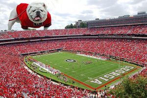 A UGA Bulldog looking over a packed Georgia Stadium during a game